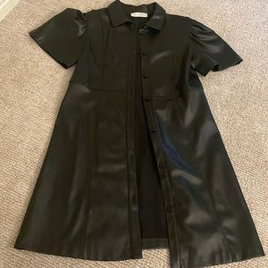 Zara Leather Dress